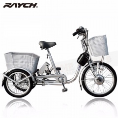 RAYCH R33 三輪電動車 24V9A/前驅/前磨電燈/後內變三速/全電動/銀